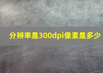 分辨率是300dpi像素是多少