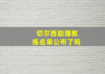 切尔西助理教练名单公布了吗