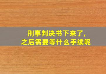 刑事判决书下来了,之后需要等什么手续呢