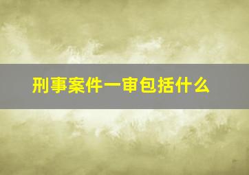 刑事案件一审包括什么