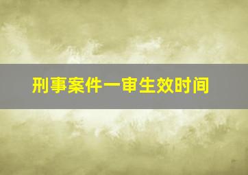 刑事案件一审生效时间