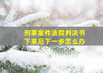 刑事案件法院判决书下来后下一步怎么办