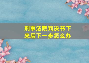 刑事法院判决书下来后下一步怎么办