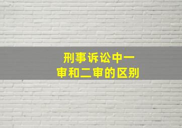 刑事诉讼中一审和二审的区别