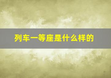 列车一等座是什么样的