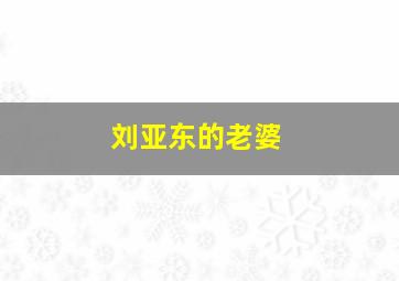 刘亚东的老婆