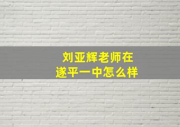 刘亚辉老师在遂平一中怎么样