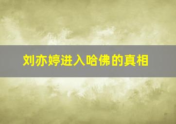 刘亦婷进入哈佛的真相