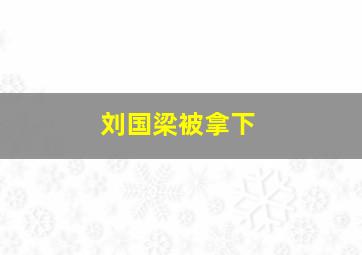 刘国梁被拿下