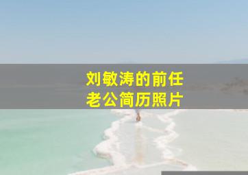 刘敏涛的前任老公简历照片