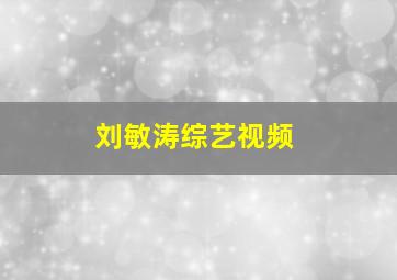 刘敏涛综艺视频