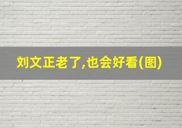 刘文正老了,也会好看(图)