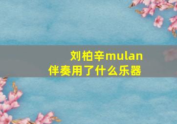 刘柏辛mulan伴奏用了什么乐器