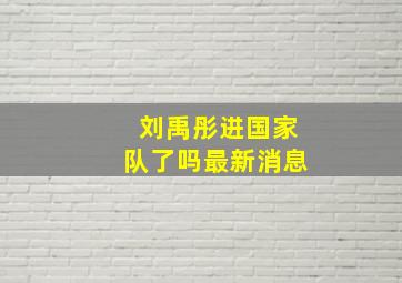 刘禹彤进国家队了吗最新消息