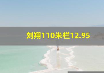 刘翔110米栏12.95