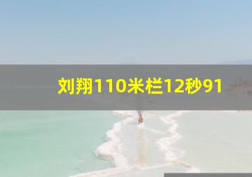 刘翔110米栏12秒91