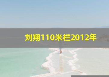 刘翔110米栏2012年