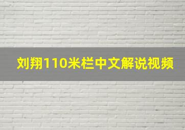 刘翔110米栏中文解说视频