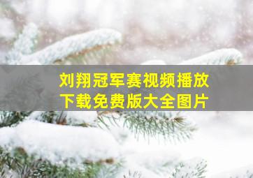 刘翔冠军赛视频播放下载免费版大全图片