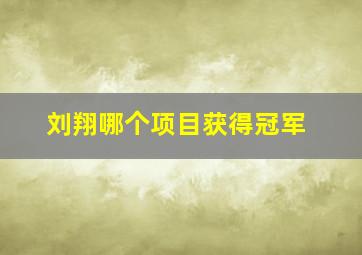 刘翔哪个项目获得冠军