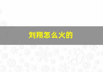 刘翔怎么火的