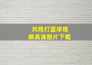 刘翔打篮球视频高清图片下载