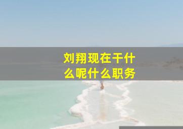 刘翔现在干什么呢什么职务