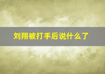 刘翔被打手后说什么了