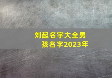 刘起名字大全男孩名字2023年