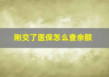 刚交了医保怎么查余额