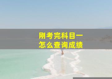 刚考完科目一怎么查询成绩