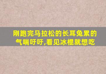 刚跑完马拉松的长耳兔累的气喘吁吁,看见冰棍就想吃