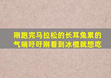 刚跑完马拉松的长耳兔累的气喘吁吁刚看到冰棍就想吃