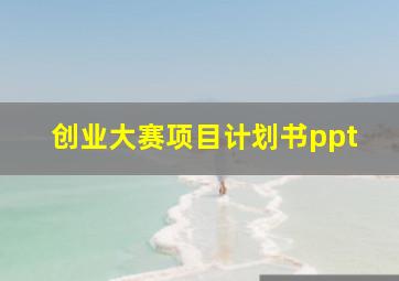 创业大赛项目计划书ppt