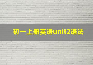 初一上册英语unit2语法