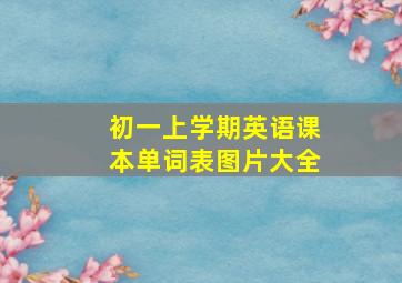 初一上学期英语课本单词表图片大全