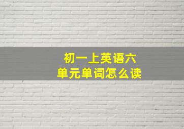 初一上英语六单元单词怎么读