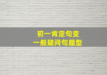 初一肯定句变一般疑问句题型