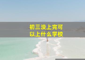 初三没上完可以上什么学校