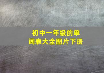 初中一年级的单词表大全图片下册