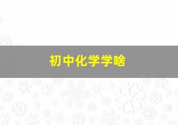 初中化学学啥