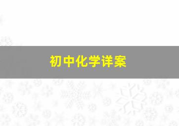 初中化学详案