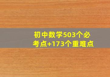 初中数学503个必考点+173个重难点