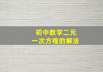 初中数学二元一次方程的解法