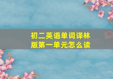 初二英语单词译林版第一单元怎么读