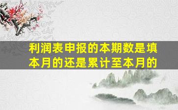 利润表申报的本期数是填本月的还是累计至本月的