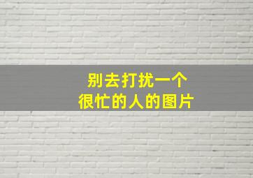 别去打扰一个很忙的人的图片