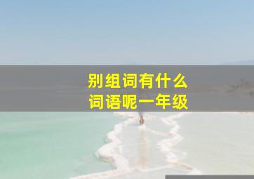 别组词有什么词语呢一年级