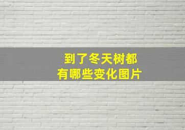 到了冬天树都有哪些变化图片