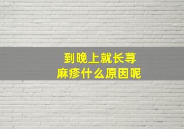 到晚上就长荨麻疹什么原因呢